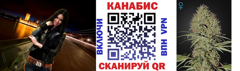 Купить где Новая Ладога Конопля марихуана